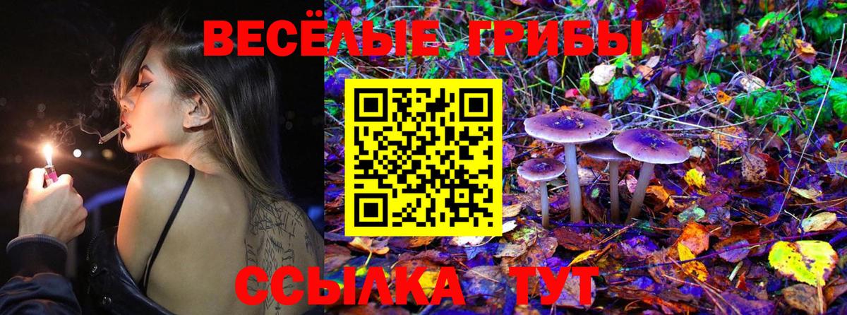 Галлюциногенные грибы Psilocybe Полевской