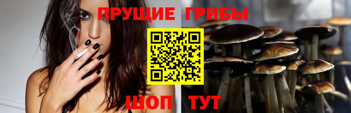 Полевской  Псилоцибиновые грибы прущие грибы  Галлюциногенные грибы ЛСД  Вход с VPN 